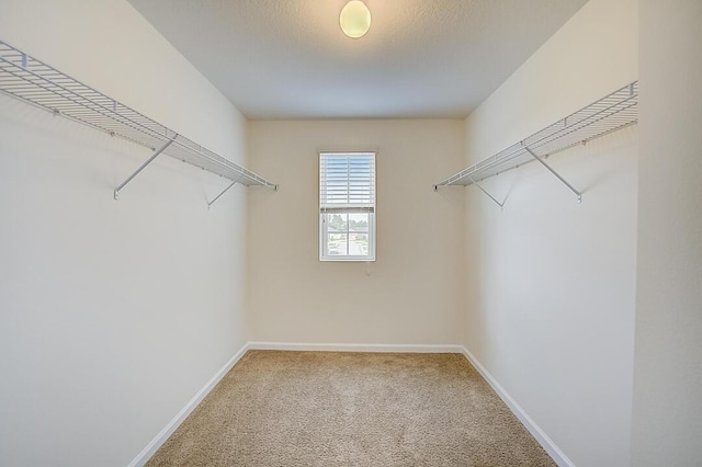 spacious closet with light colored carpet