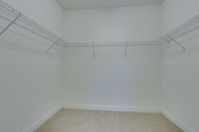 spacious closet featuring light colored carpet