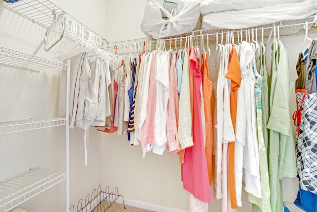 spacious closet with carpet floors