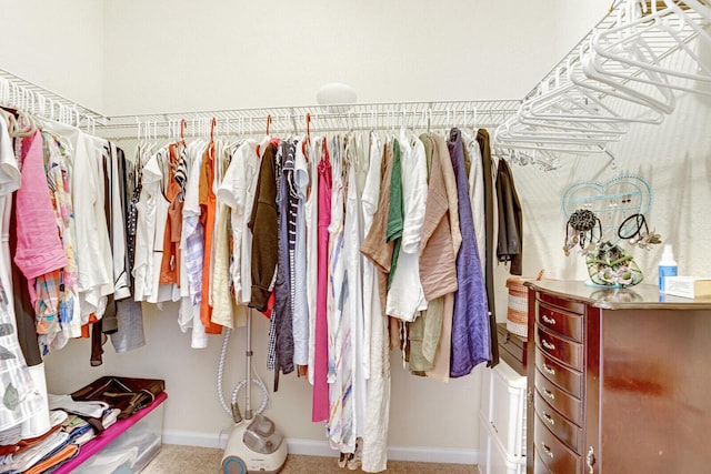 spacious closet with light colored carpet