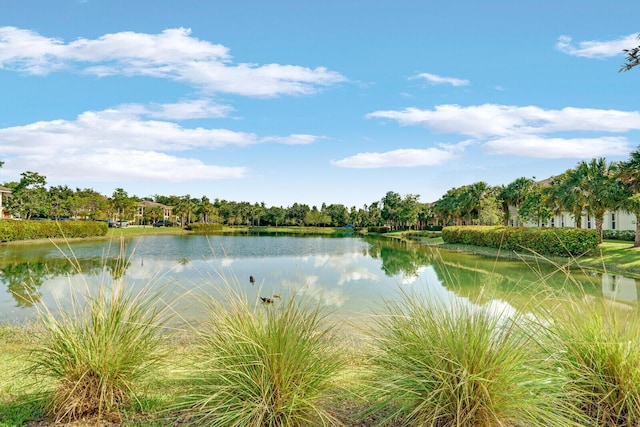 view of water feature