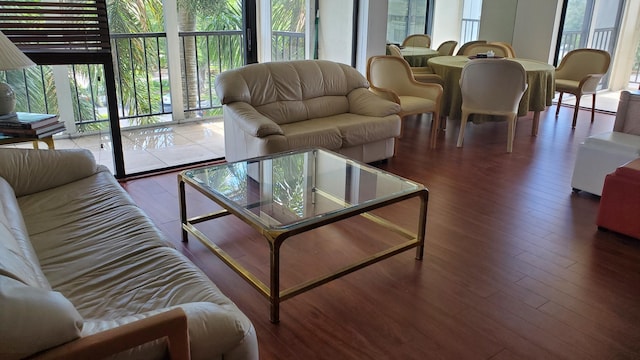 living room featuring dark hardwood / wood-style flooring