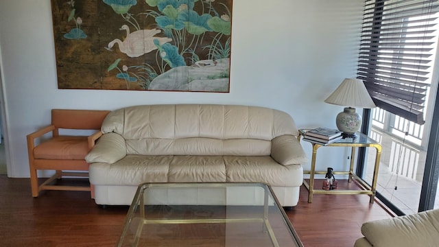 living room featuring dark hardwood / wood-style flooring and a healthy amount of sunlight