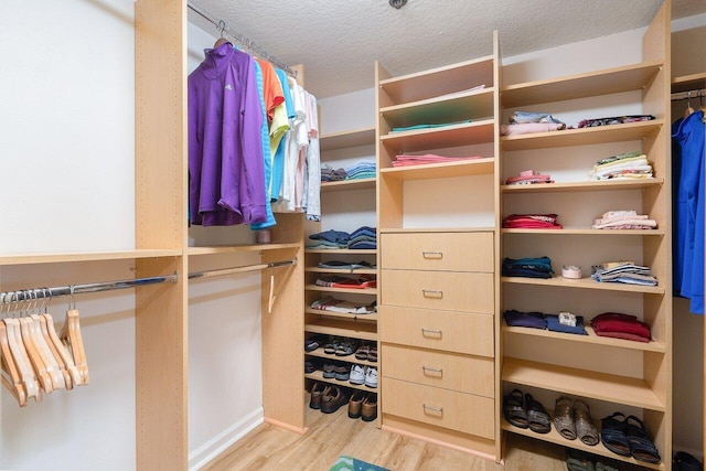 spacious closet with light wood-type flooring