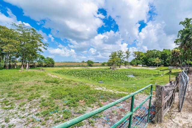 view of yard with a rural view