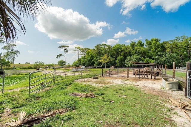 view of yard featuring a rural view