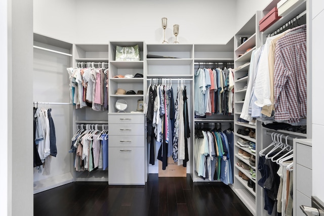 walk in closet featuring hardwood / wood-style flooring