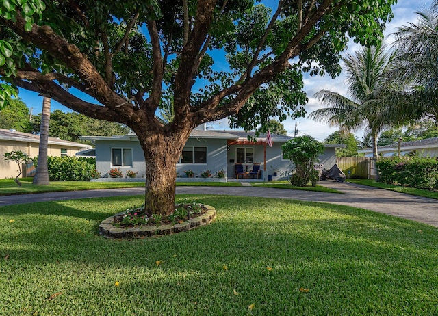 ranch-style home with a front lawn