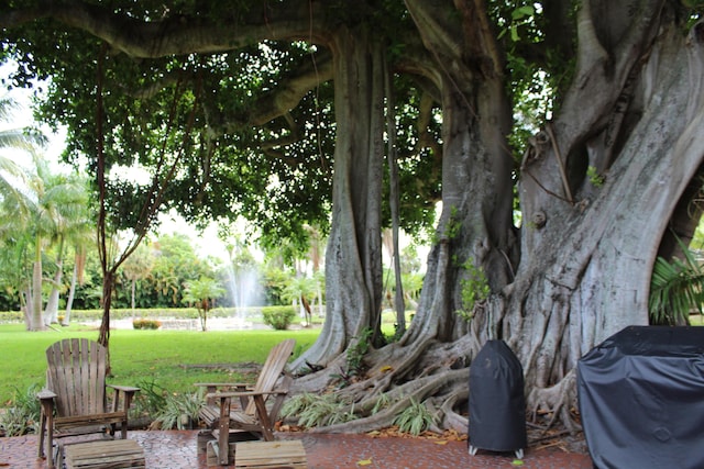 view of nearby features featuring a lawn