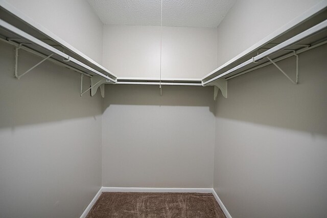 200 Waterway Dr S Unit 102, Lantana, FL 33462 - walk in closet with carpet flooring