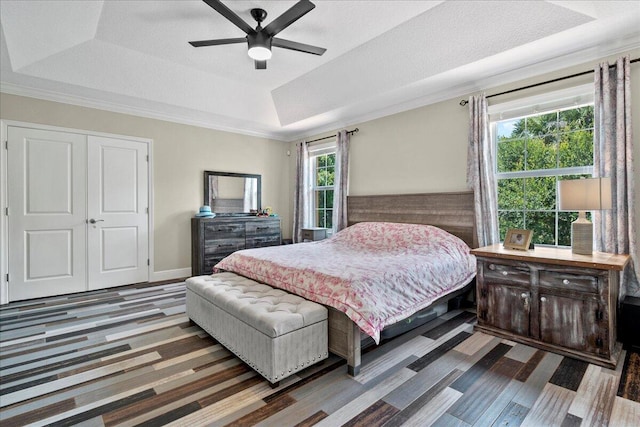 bedroom featuring a tray ceiling, ceiling fan, a closet, and multiple windows