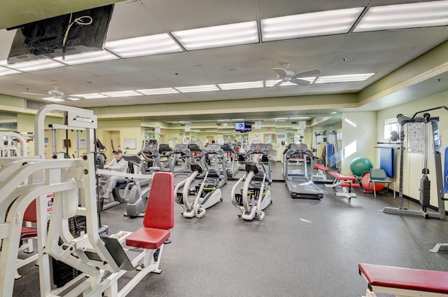 workout area featuring ceiling fan and a drop ceiling