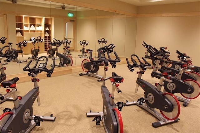 exercise room with carpet floors