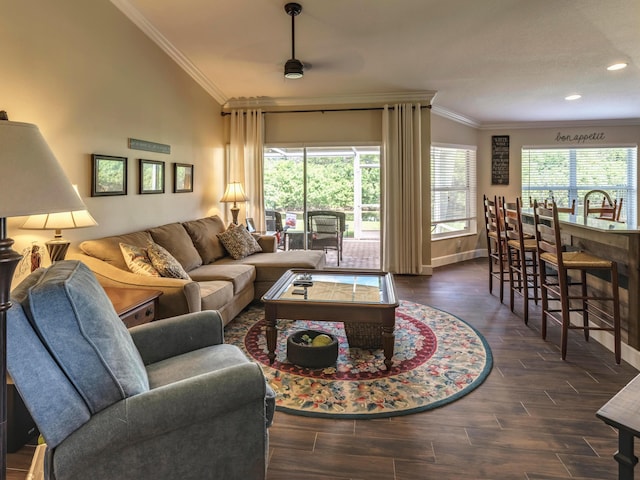 living room featuring dark hardwood / wood-style floors, ornamental molding, and a healthy amount of sunlight