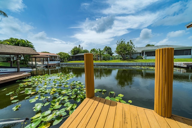 dock area with a water view