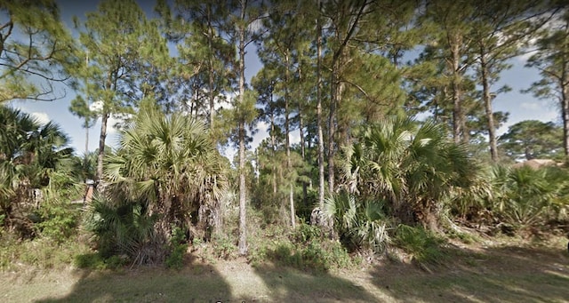 3965 SW Helmlinger St, Port Saint Lucie FL, 34953 land for sale