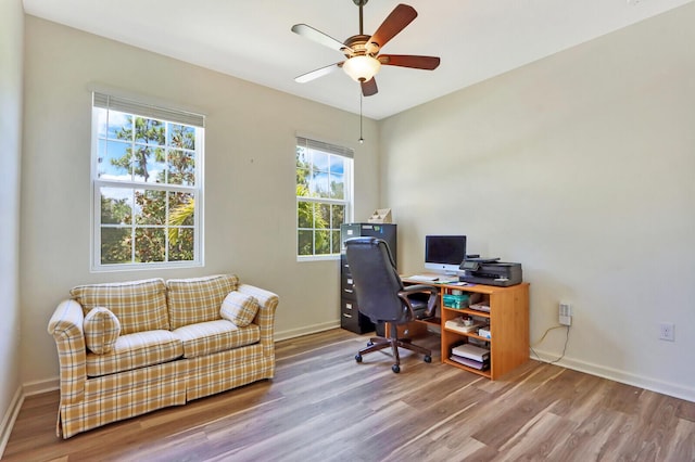 office area featuring ceiling fan and hardwood / wood-style flooring