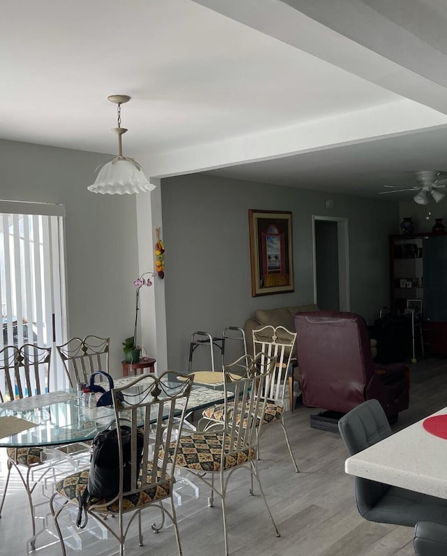 dining area with ceiling fan and light wood-type flooring