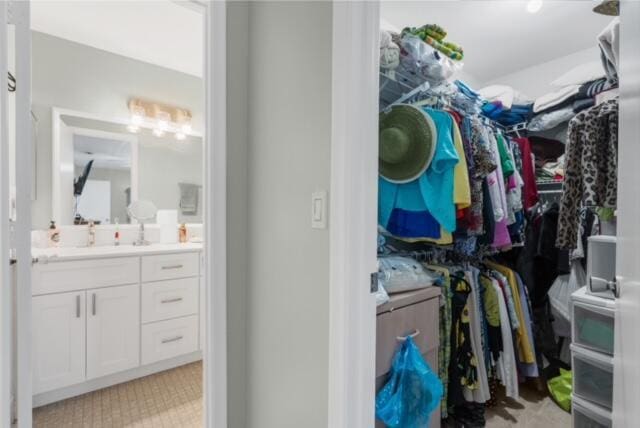 spacious closet with light colored carpet