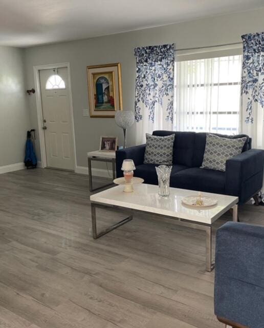 living room with light hardwood / wood-style flooring