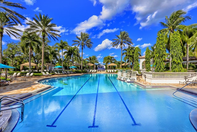 view of swimming pool