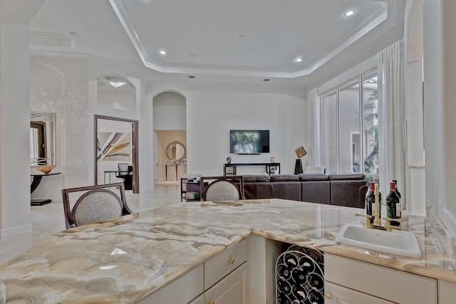 interior space featuring sink, ornamental molding, and a tray ceiling