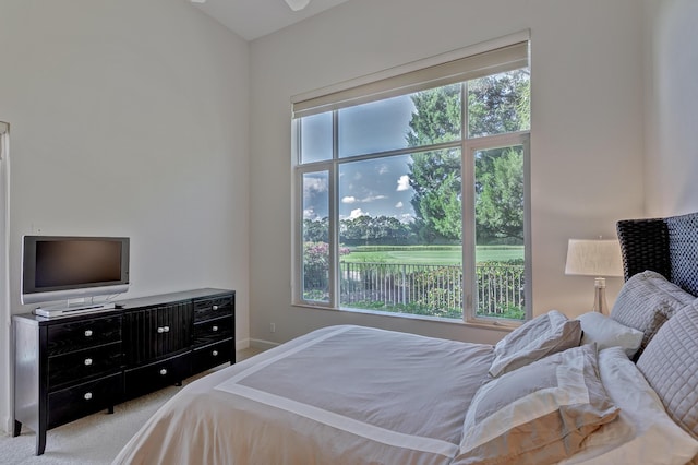 carpeted bedroom featuring multiple windows