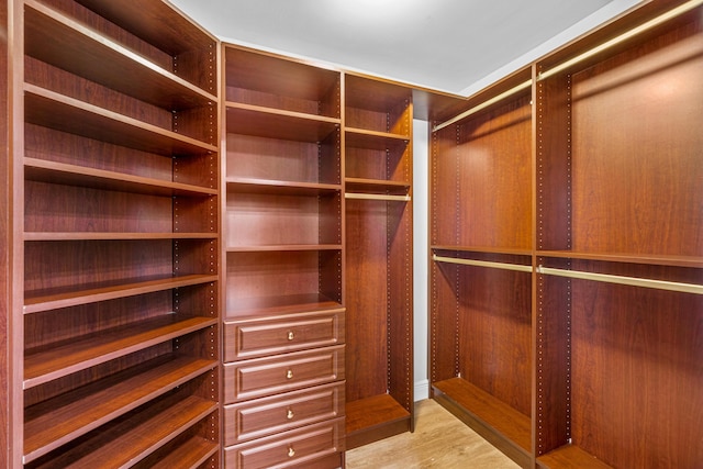 walk in closet with light wood-type flooring