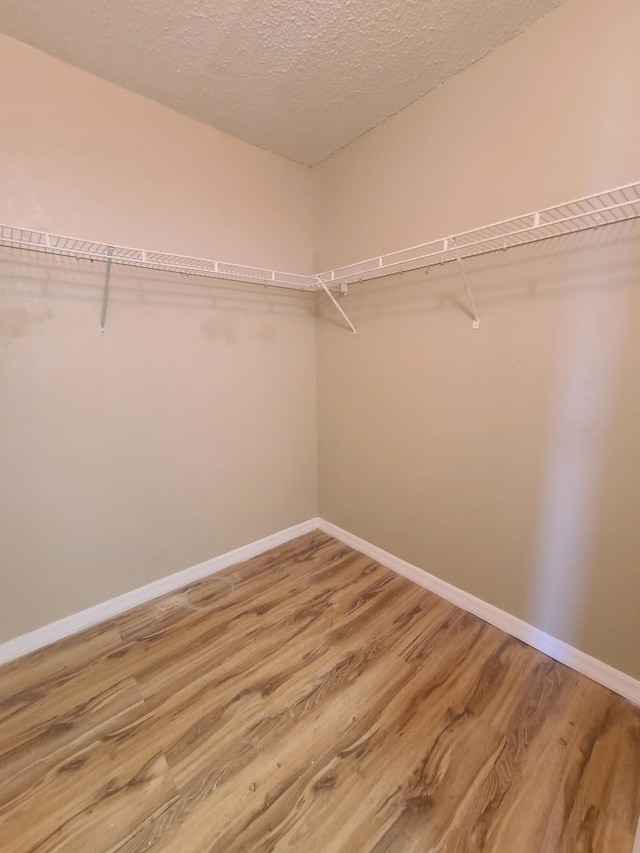 spacious closet with light wood-type flooring