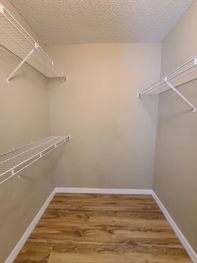 spacious closet with wood-type flooring