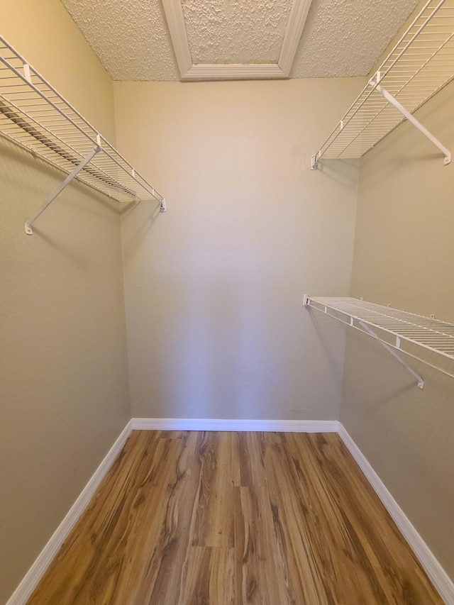 spacious closet featuring hardwood / wood-style floors