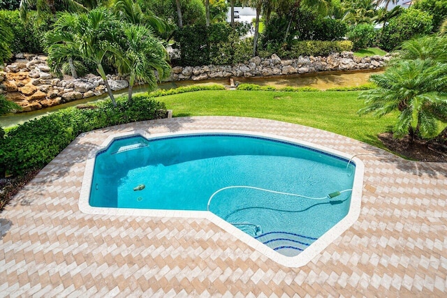 view of swimming pool with a yard