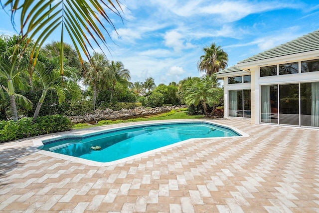 view of swimming pool featuring a patio