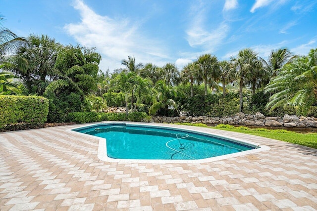 view of swimming pool with a patio area