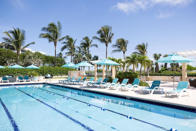 view of pool featuring a patio area