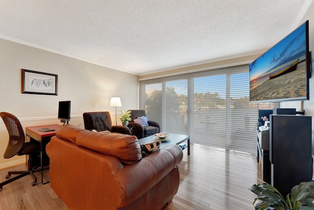 living room featuring crown molding, light hardwood / wood-style floors, and a textured ceiling