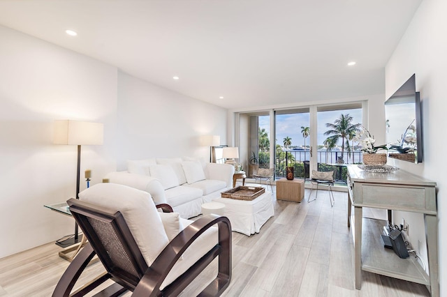 living room with light hardwood / wood-style floors