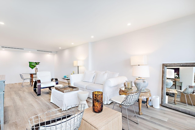 living room featuring light hardwood / wood-style flooring