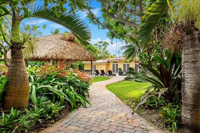 view of yard featuring a patio