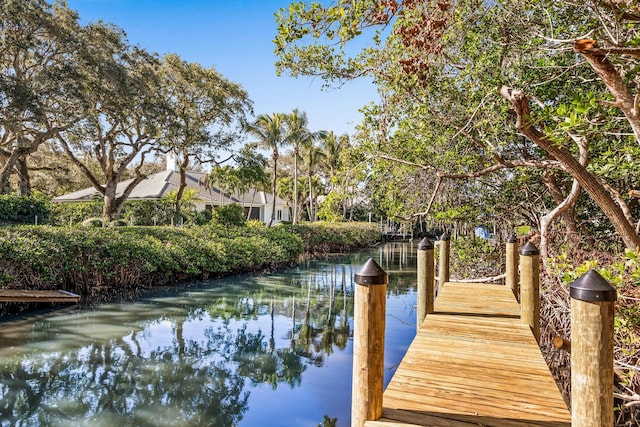 dock area with a water view