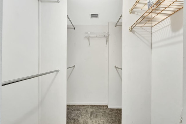 walk in closet featuring carpet floors