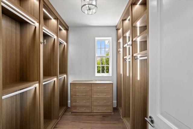 spacious closet with dark wood-type flooring and a notable chandelier