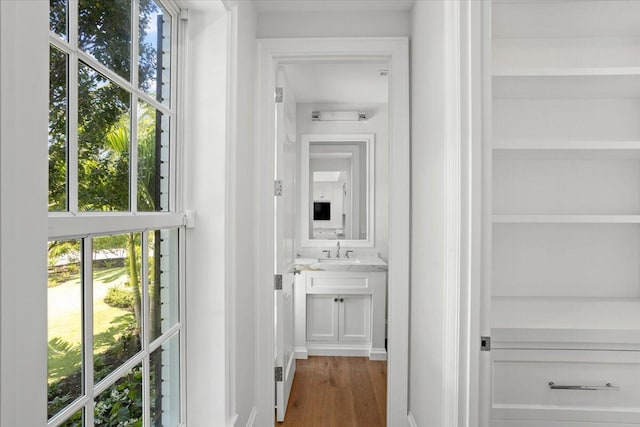 hallway with dark wood-type flooring and sink