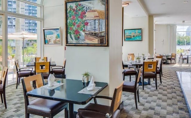 carpeted dining area with expansive windows