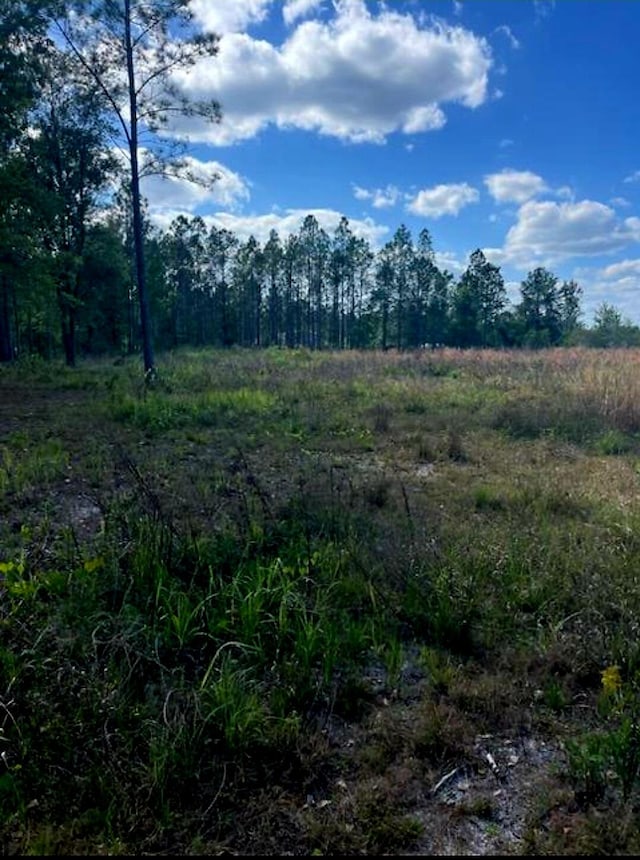 Listing photo 3 for 1108306 Oil Well Rd, Clermont FL 34714