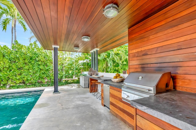 view of patio / terrace with grilling area and an outdoor kitchen