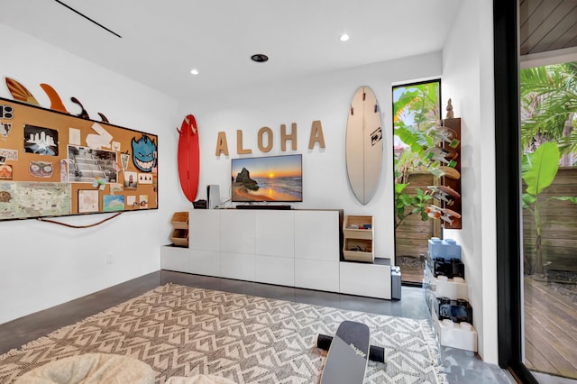 interior space with a healthy amount of sunlight and hardwood / wood-style flooring