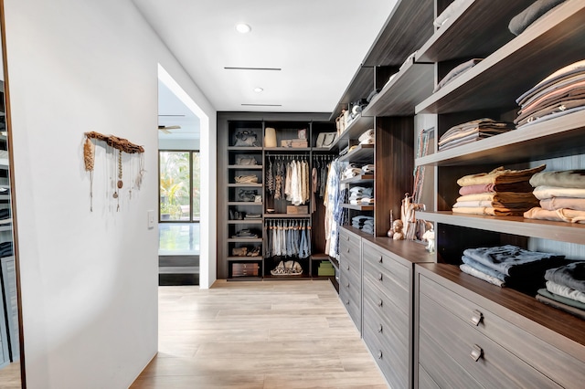 spacious closet featuring light hardwood / wood-style flooring