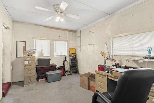 office featuring ornamental molding and ceiling fan