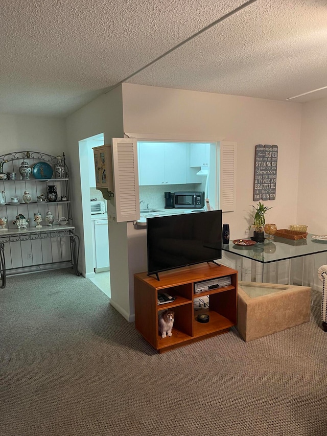 carpeted living room featuring a textured ceiling and washer / dryer